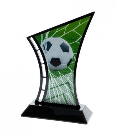  19.5cm Printed Soccer Acrylic Award