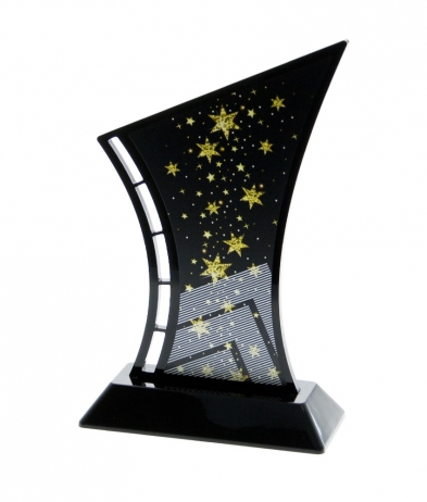  19.5cm Printed Star Acrylic Award