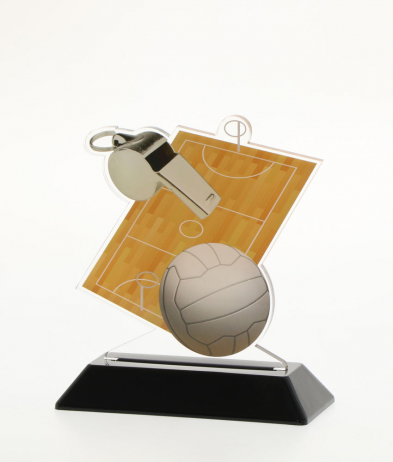  13.5cm Printed Netball Acrylic Award
