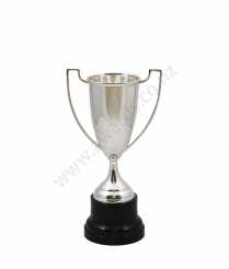  Devon Silver Cup 19cm