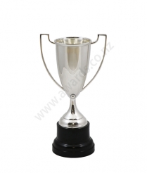  Devon Silver Cup 22.5cm