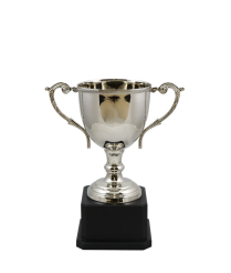  Norfolk Nickel Cup  20cm