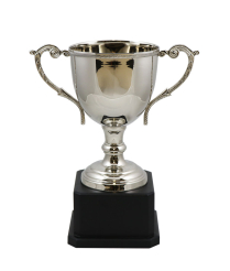  Norfolk Nickel Cup 28.5cm