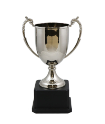  Cheshire Nickel Cup 29cm