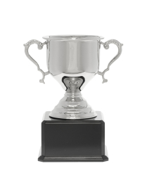  Challenge Nickel Cup 29cm