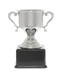  Challenge Silver Cup 33cm