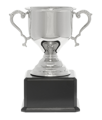  Challenge Silver Cup 37cm