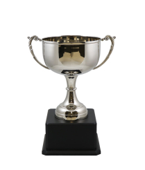  Derby Nickel Cup 29cm