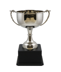  Derby Nickel Cup 33.5cm