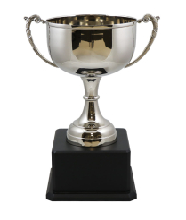  Derby Nickel Cup 41.5cm