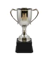  Oxford Nickel Cup 32cm