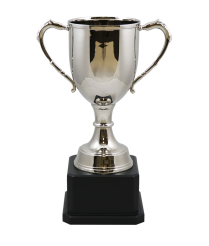  Oxford Nickel Cup  40cm