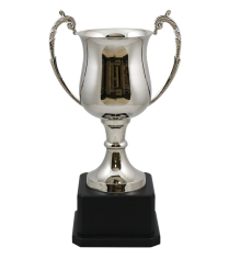  Cornwall Nickel Cup 42.5cm
