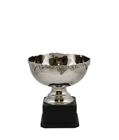 Newport Nickel Cup 18cm