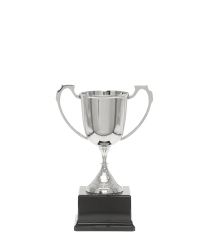  Silver Sports Cup 21cm