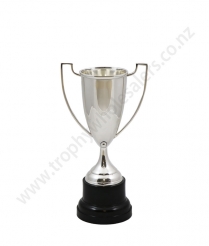  Devon Silver Cup 19cm