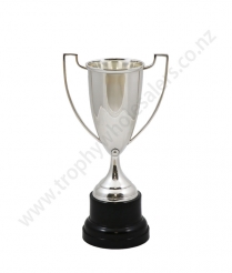  Devon Silver Cup 22.5cm