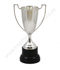  Devon Silver Cup 32cm