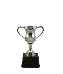  Kent Nickel Cup 20.5cm