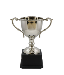  Norfolk Nickel Cup  24cm