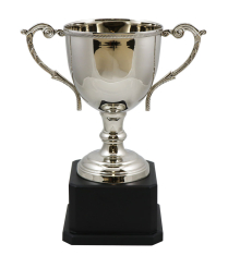  Norfolk Nickel Cup 35cm