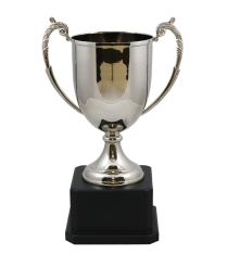 Cheshire Nickel Cup 38cm