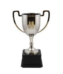  Dorset Nickel Cup 33.5cm