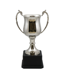  Cornwall Nickel Cup 36cm