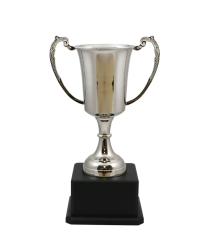  Kendal Nickel Cup 40cm