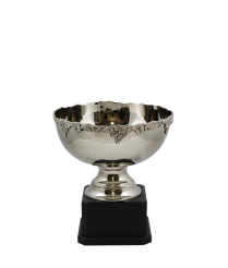  Newport Nickel Cup 18cm