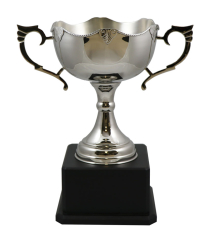  Prescot Nickel Cup 40cm