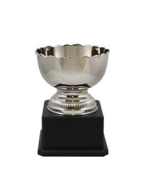  Richmond Nickel Cup 21.5cm