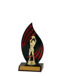  Flameback Trophy <Br>20cm