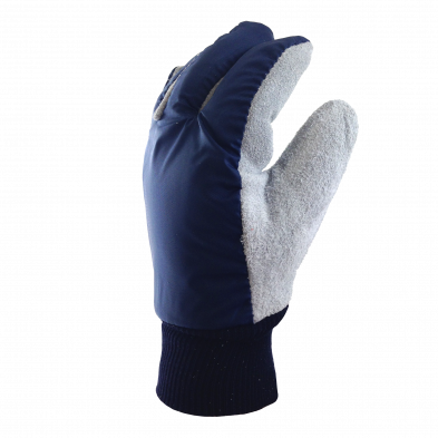Blue Back - Cold Glove