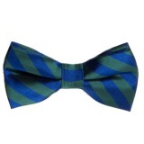 73202 Bow Tie Striped Green & Blue