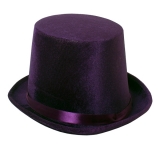 N2938 Hatter Top Hat Economy Purple