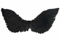 NY1032 Wings Up Medium 70x30cm Black