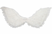 NY1041 Wings Up Large & Folded 90x50cm White