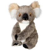 S7238 OB Adelaide Koala 30cm