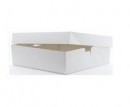 BC0050 Cake Box 18x18x5" White M/B (2 Piece)