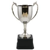 CR Sussex Cup