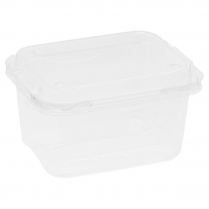 750g Clamshell Fresh Produce Punnet