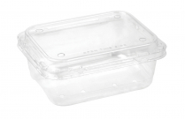 500g Plastic Clamshell Produce Punnet