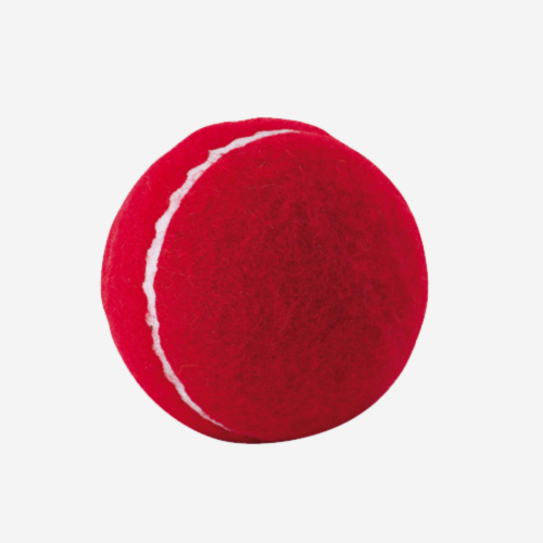 KOOKABURRA SUPER COACH HARD TENNIS BALL