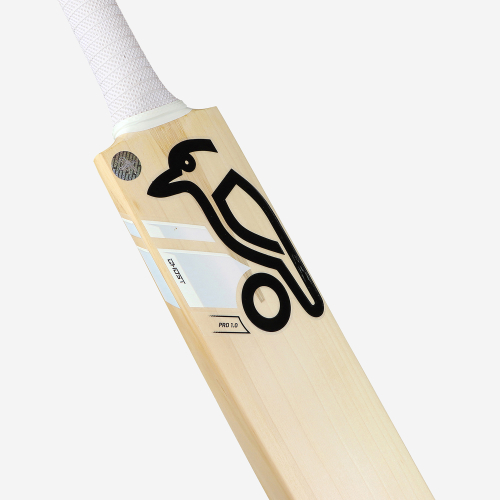 GHOST PRO 1.0 SENIOR CRICKET BAT