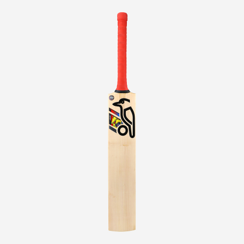 BEAST PRO PLAYERS SENIOR CRICKET BAT