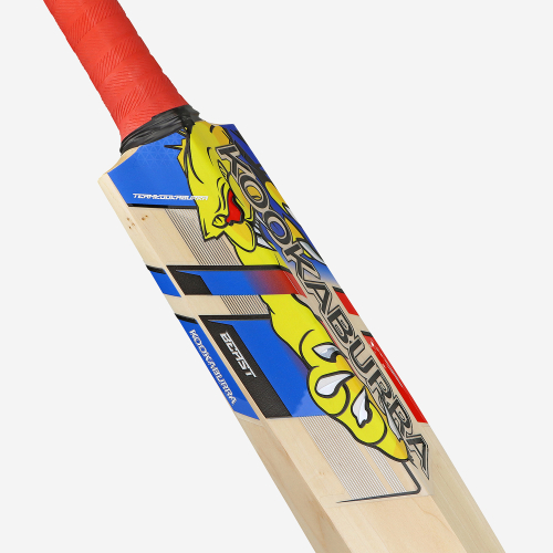 BEAST PRO PLAYERS SENIOR CRICKET BAT