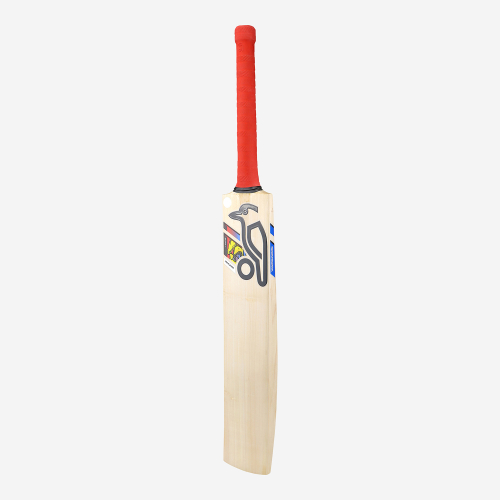 BEAST PRO PLAYERS SENIOR CRICKET BAT