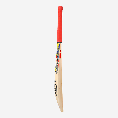 BEAST PRO PLAYERS SENIOR CRICKET BAT