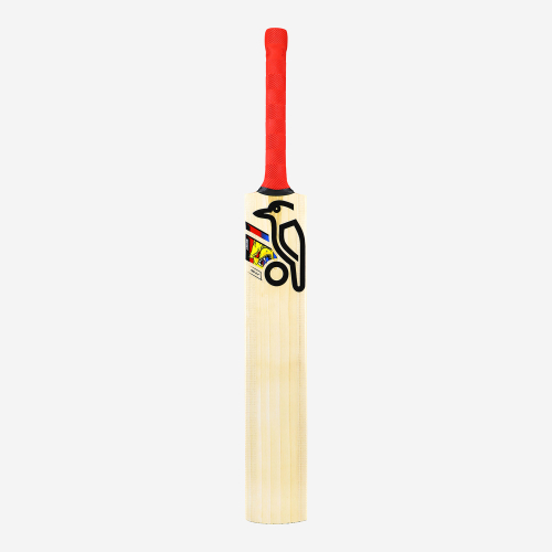 BEAST PRO 9.0 JUNIOR CRICKET BAT